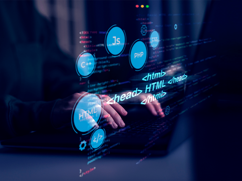 Custom Web Development